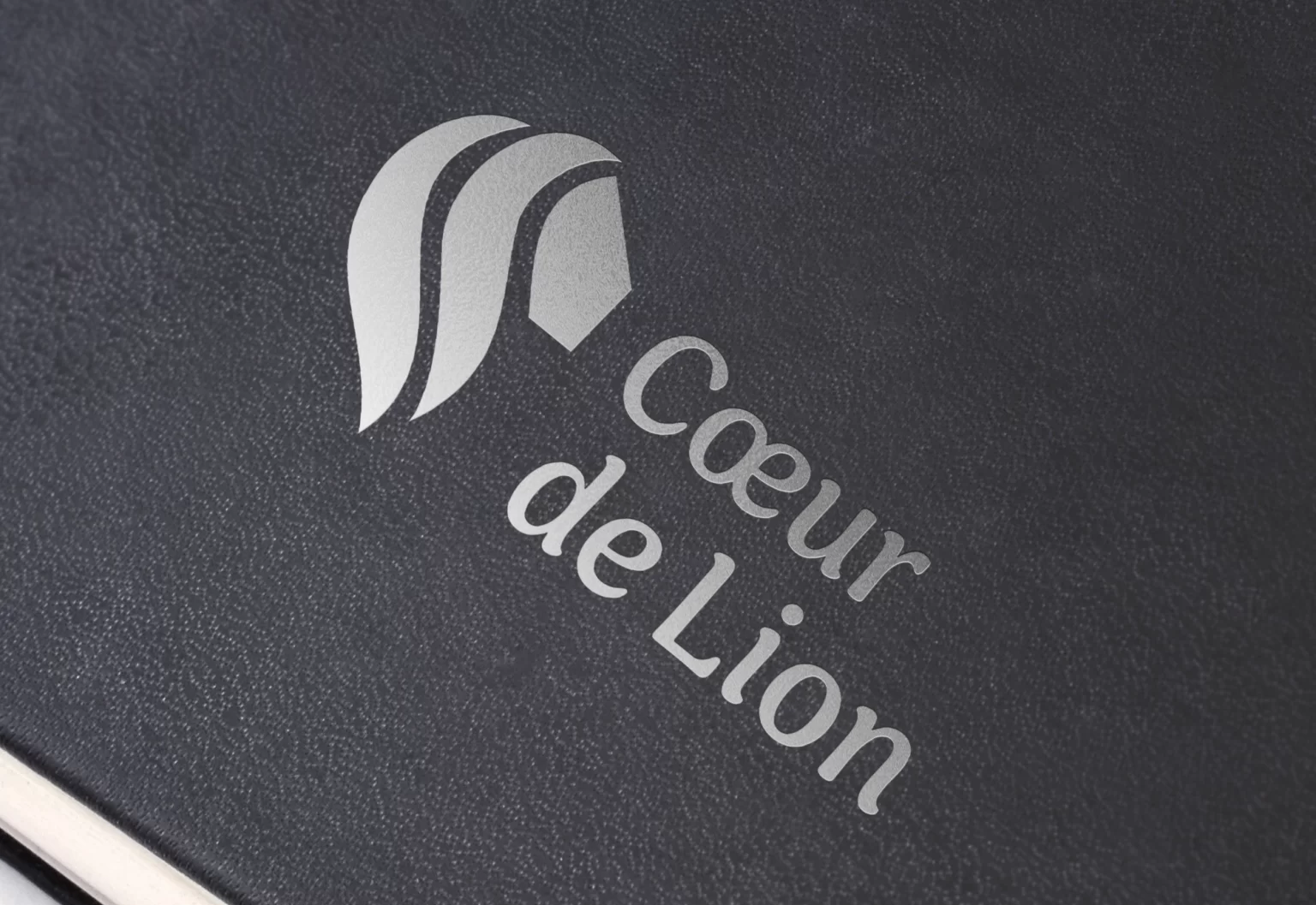 Cœur de Lion – Lifestyle Coaching